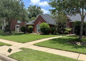how to get the best lawn in houston