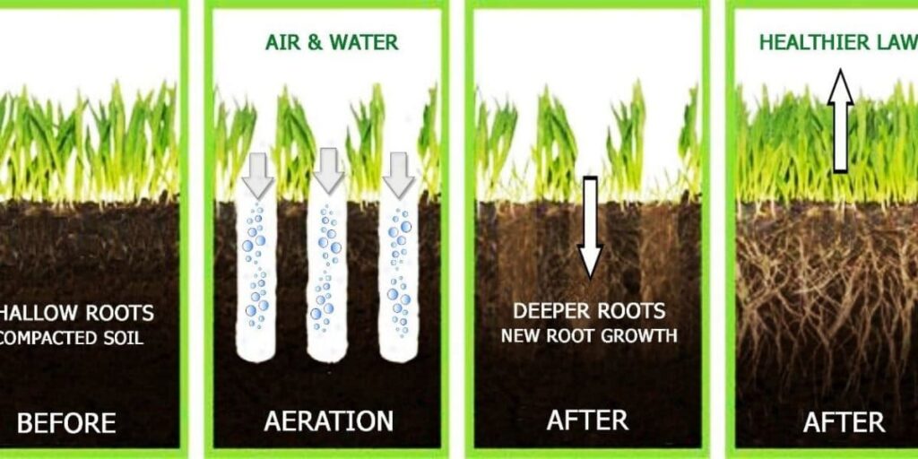 Illustration showing the process of lawn aeration service in Cypress, TX