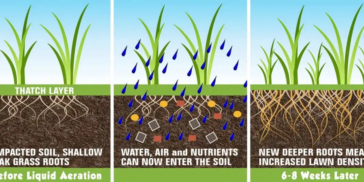 Choosing the Right Lawn Aeration Service in Houston - Lawn Decompaction Aeration