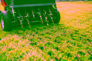 fall aeration