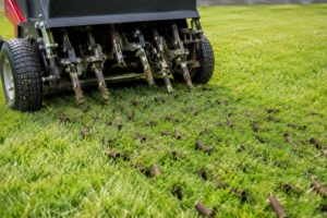 fall aeration