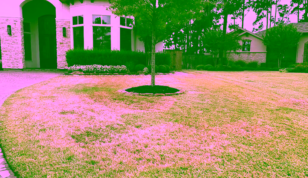 GreenGate Turf & Pest's technician identified brown patch fungus in a client's yard