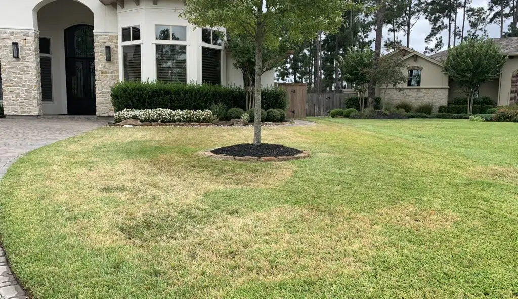 GreenGate Turf & Pest's technician identified brown patch fungus in a client's yard