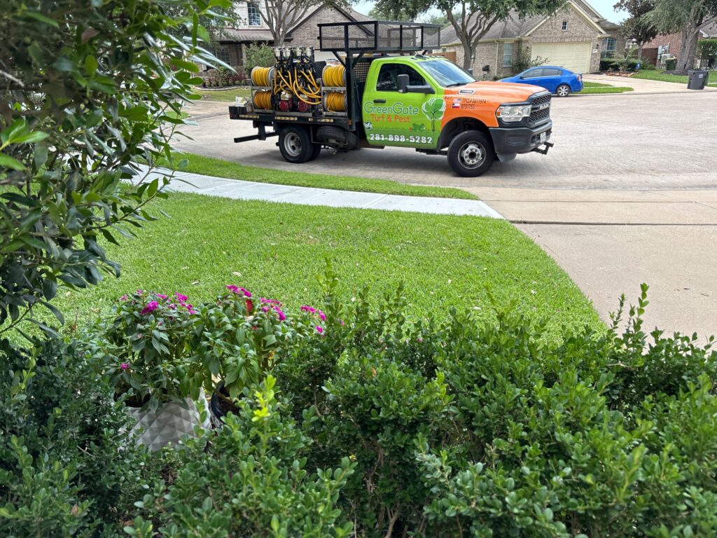 Lawn Aeration Pearland