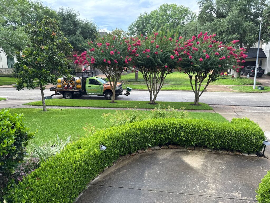 Bellaire Mosquito Control with in2care mosquito traps