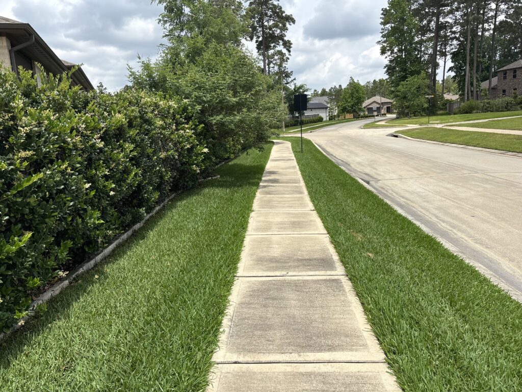 Lawn pest control Pearland & Weed Control in Pearland TX