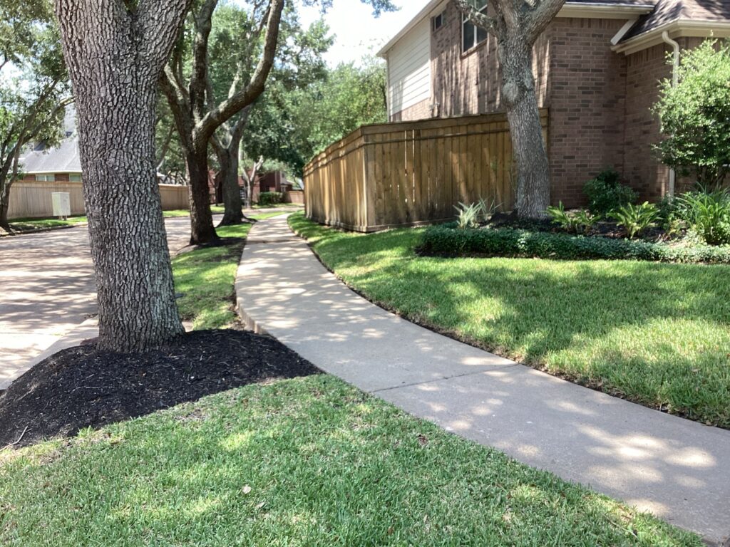 Green lawn with no weeds after a lawn fertilizer service and lawn aeration service