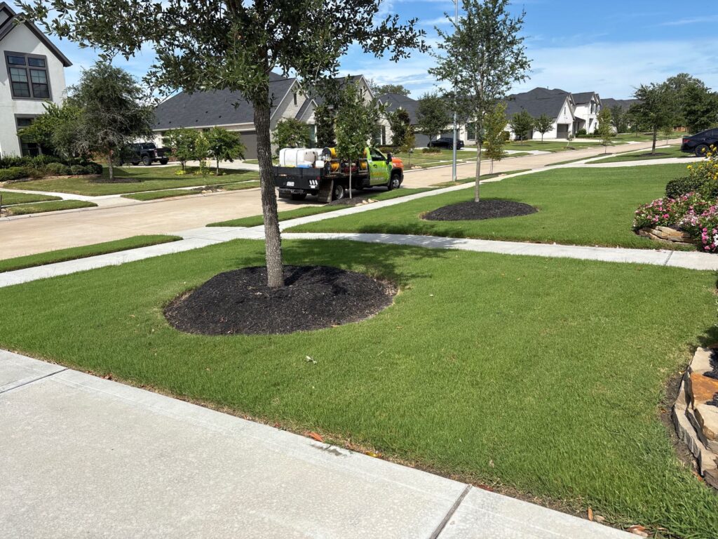 Lawn care services including lawn fertilization, lawn insecticide (ant control services), lawn fungus control, and lawn aeration