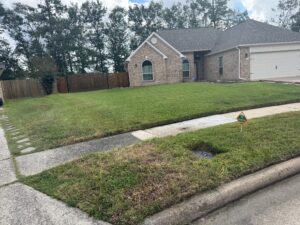 Late winter lawn care prevents pest activity