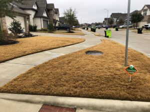 Dormant bermuda grass in winter with a greengate sign in yard