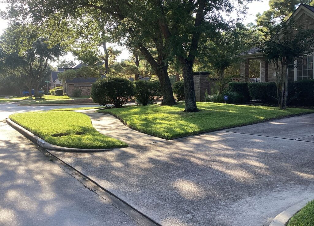 Green lawn and clean house after a perimeter pest control services to keep spiders, ants, silverfish, and more out of the house.