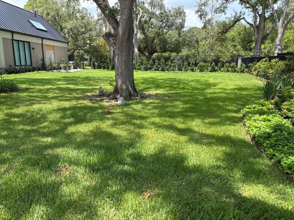 in2care mosquito traps and pest control channelview tx