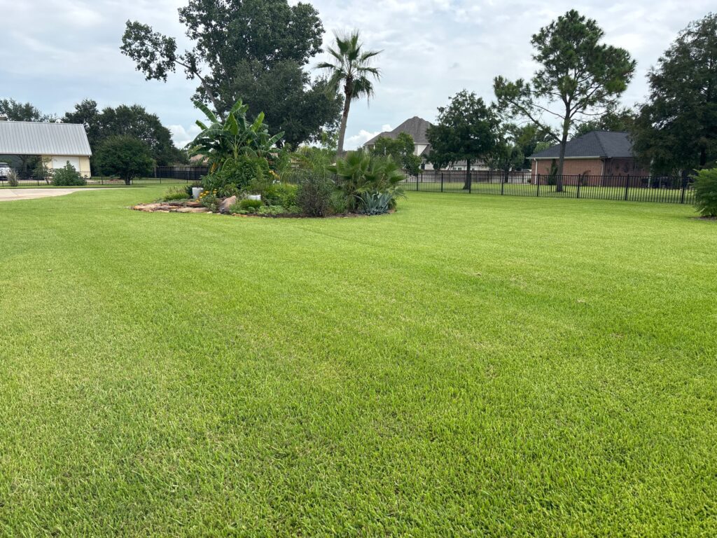 Large green lawn that has a lawn fertilizer service with a large flower bed in the middle