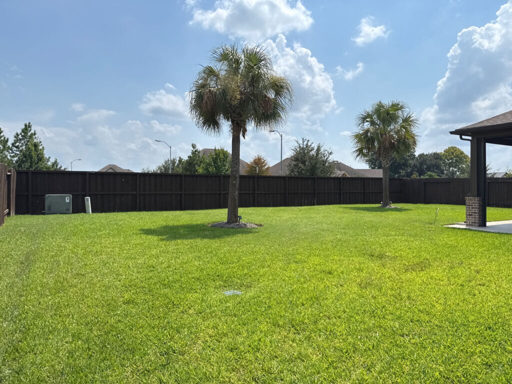 A large, green backyard with a palm tree in the center after a lawn aeration service