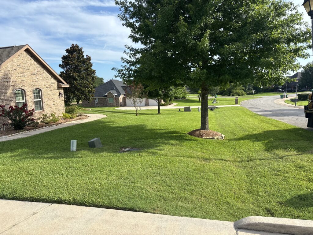Large front yard with green grass and no weeds