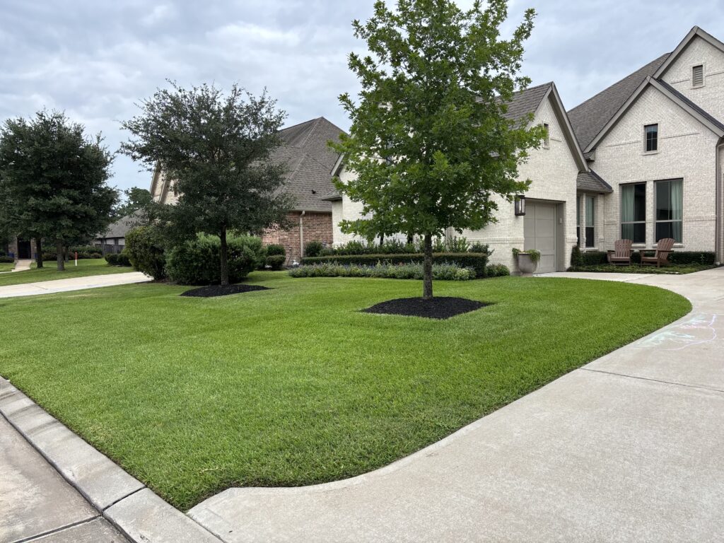 Green front lawn with trees and shrubs after a liquid lawn aeration