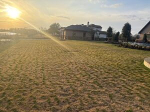 Dormant grass with winter damage that shows why you need winter lawn care houston