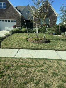 Freeze damaged lawn during Lawn Care in winter
