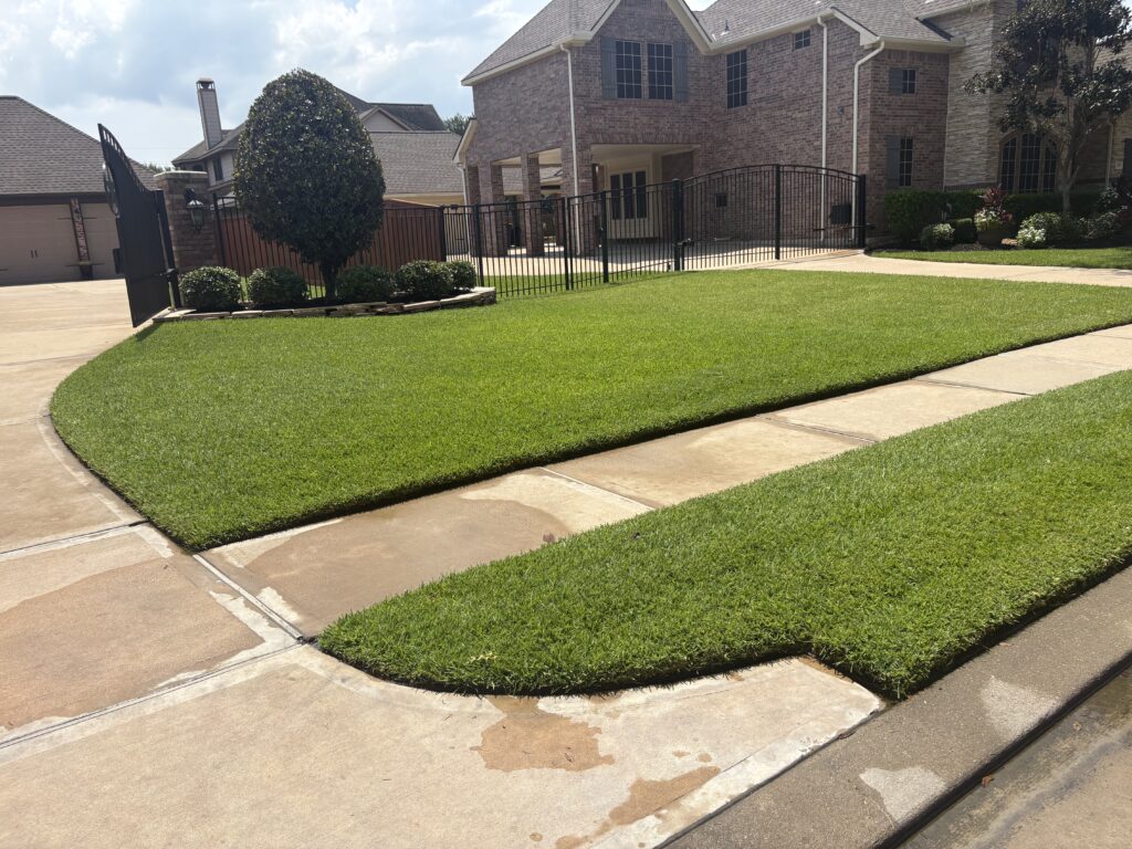 Green front lawn after a lawn aeration in seabrook