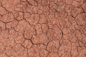 Compaction is of of many common soil problems in Houston, TX