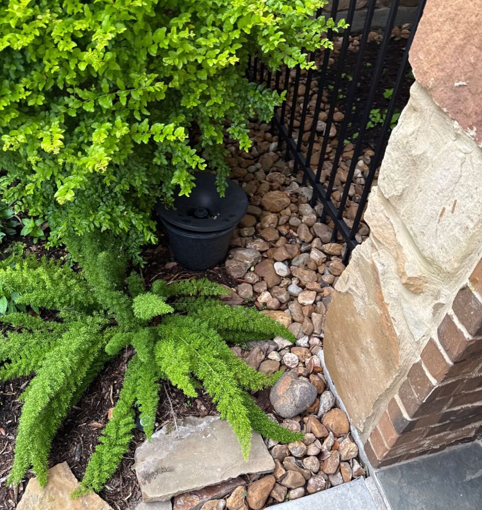 An In2care mosquito pot set up discretely in a rock bed surrounded by shrubs and plants
