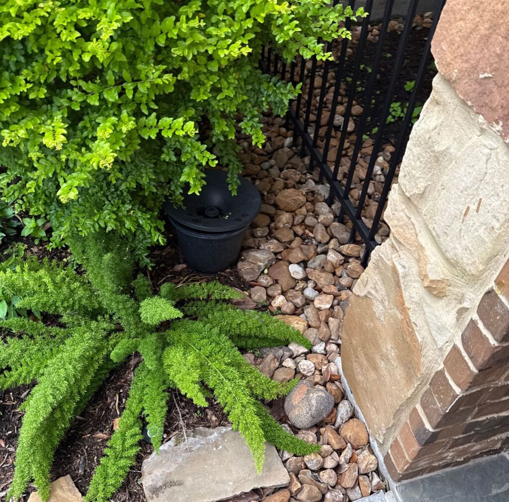 An in2care mosquito trap nestled into shrubs in a rock bed for mosquito control porter