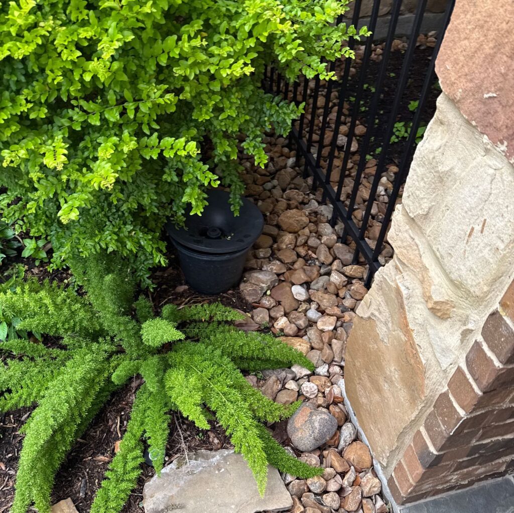 In2care bucket tucked away in a rock bed covered by small shrubs and plants