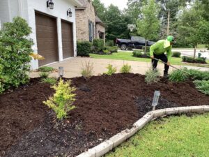 Landscape crew completing a mulch installation service in front flower beds
