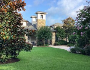 Beautiful lush, green grass between lush landscaping