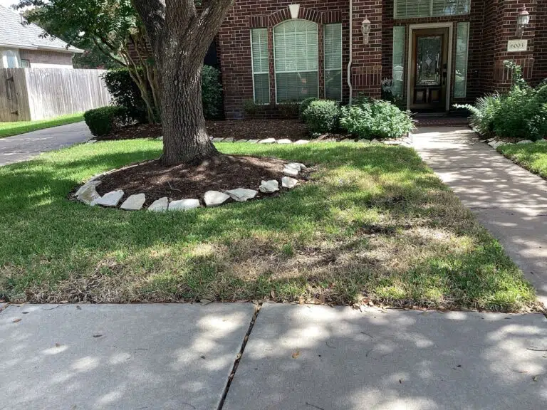 benefits of trimming trees for grass growth and health