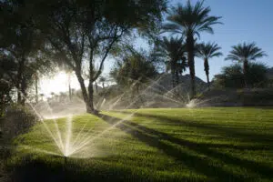 cost to replace sprinkler heads in Houston