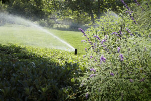 high efficiency sprinkler heads
