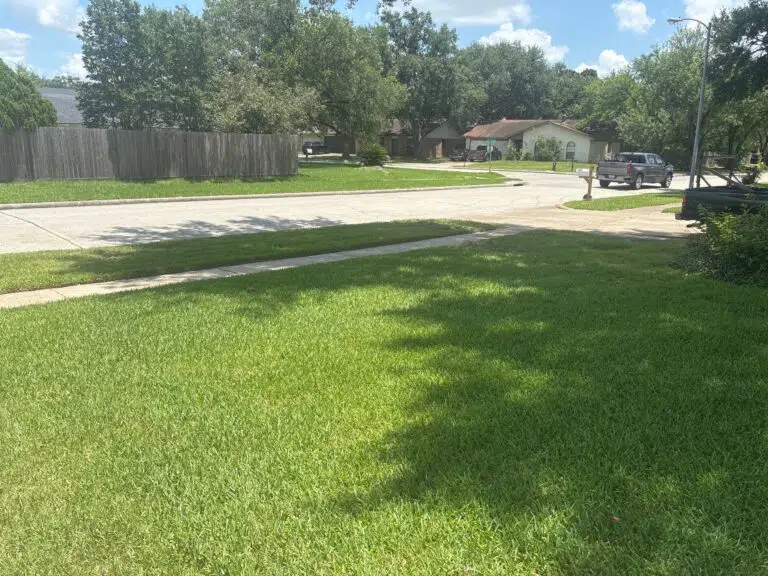 lawn care services