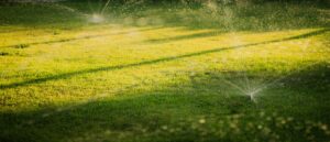 when is the best time to water the lawn