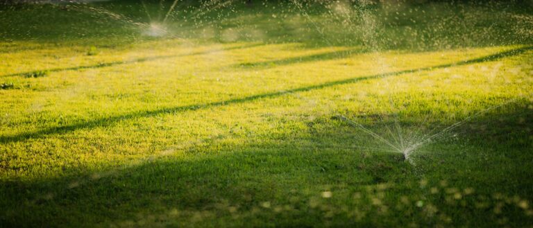 when is the best time to water the lawn