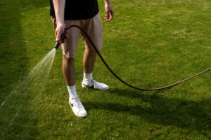 when is the best time to water the lawn