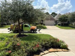 How to choose lawn care companies