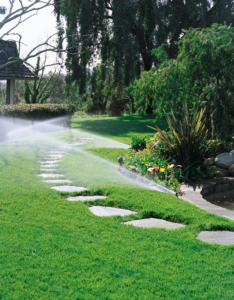 watering lawns in hot weather