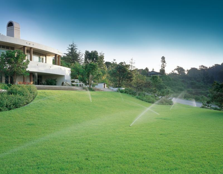 lawn watering tips