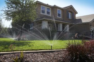 lawn watering tips