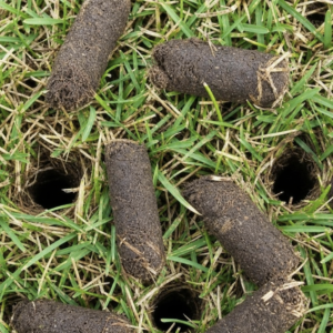 lawn aeration
