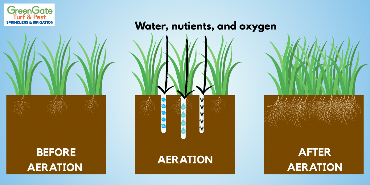 fall aeration or spring aeration