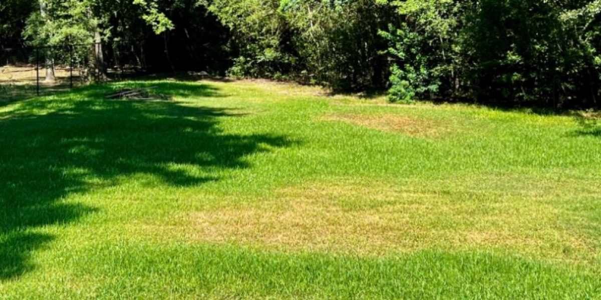 An Aerial View of Lawn Area Highlighting Lawn Aeration Service in Houston, TX
