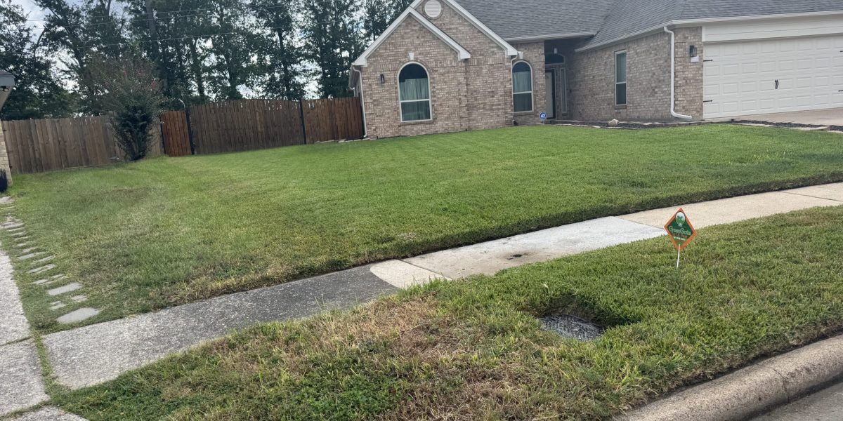 Late winter lawn care prevents pest activity