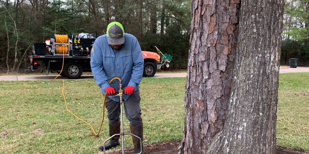 Lawn Technician Performing Deep Root Tree Feeding Service (Deep Root Tree Fertilization)