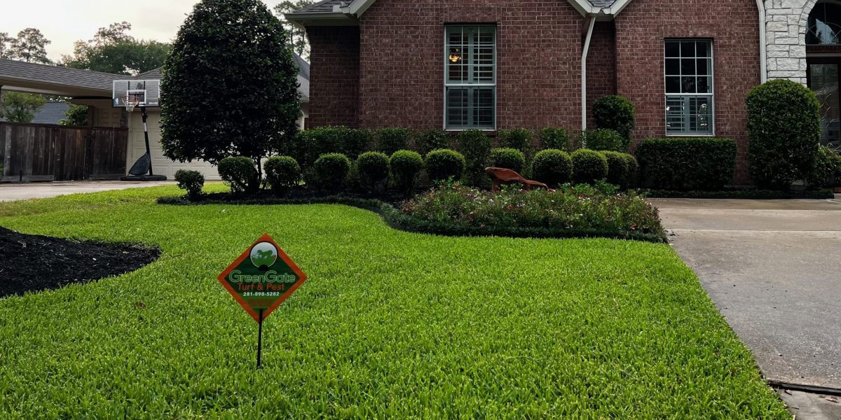 Lawn Pest Control Richmond Richmond Lawn Care