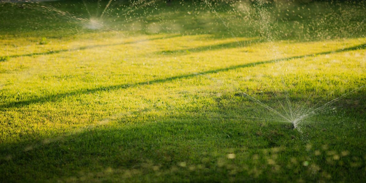 when is the best time to water the lawn
