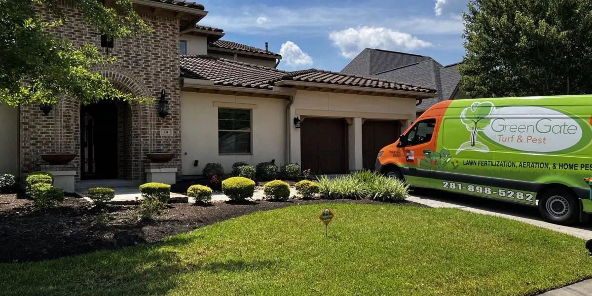 Super Lawn Aeration Results Tomball, TX lawn aeration service