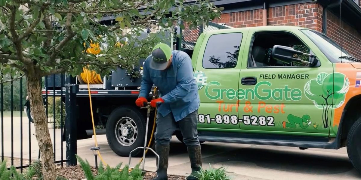 Tree Fertilization Service