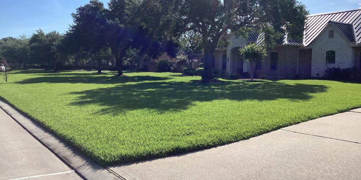 soil pH: the key to a healthy, vibrant lawn